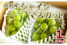 山形産 シャインマスカット 約1kg (2～3房) 秀品 【令和7年産先行予約】FS24-732