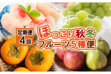 【定期便4回】ほっこり秋冬フルーツ５種便 【令和7年産先行予約】FS24-810