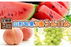 【定期便3回】山形旬果 3種 らんまん 【令和7年産先行予約】FS24-811
