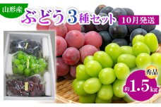 山形市産 ぶどう3種セット 秀 約1.5kg[10月発送] 【令和7年産先行予約】FS24-812
