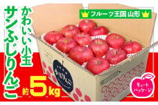 ☆フルーツ王国山形☆かわいい 小玉サンふじりんご 5kg 24玉 キュートパッケージ FY24-515