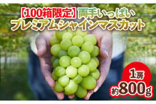 【100箱限定】両手いっぱい 1房 800g プレミアム シャインマスカット 【令和7年産先行予約】FS24-816