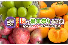【定期便3回】★訳あり★秋の果実祭り定期便 色や形が訳ありでも十分美味しい！シャインマスカット・柿・りんご 【令和7年産先行予約】FS24-814