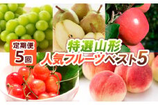 【定期便5回】特選山形人気フルーツベスト5 FY24-519