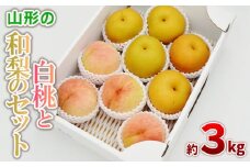 白桃と和梨の詰合せ 秀品 約3kg(6～12玉) 【令和7年産先行予約】FS24-817