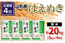 【定期便4回】山形県産 はえぬき 精米 5kg×4回(計20kg) FY24-536