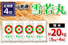 【定期便4回】山形県産 雪若丸 精米 5kg×4回(計20kg) FY24-540