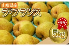 ★食べ頃出荷★山形県産 「ラ・フランス」 特秀品 5kg (12～20玉) 洋梨 ラフランス 山形 【令和7年産先行予約】FS24-819