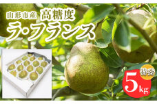 山形市産【高糖度ラフランス】特秀品 5kg (10～18玉)  極上フルーツ  洋梨 山形 【令和7年産先行予約】FS24-822