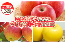 【定期便3回】りんご好きのためのやまがたりんご定期便 FY25-035