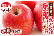 【定期便2回】ご家庭用 やまがたりんご定期便 FY25-037