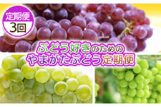 【定期便3回】ぶどう好きのためのやまがたぶどう定期便 FY25-038