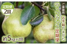 【定期便2回】お手軽 ご家庭用 やまがたラ・フランス 5kg×2回 FY25-039