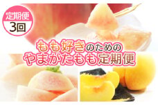 【定期便3回】もも好きのためのやまがたもも定期便 FY25-040
