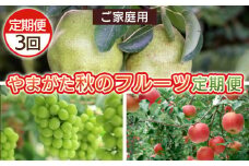 【定期便3回】ご家庭用 やまがた秋のフルーツ定期便 FY25-041