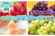 【定期便4回】やまがた 盛夏フルーツ定期便 FY25-044