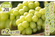 【定期便2回】やまがた シャインマスカット 秀品 約2kg×2回 FY25-045