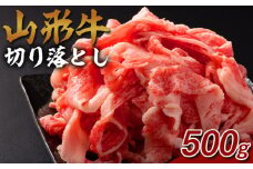 山形牛 切り落とし 500g FY25-073