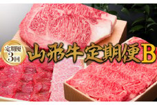 【定期便3回】山形牛定期便B[冷蔵便] FY25-074