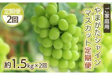 【定期便2回】ご家庭用 やまがた シャインマスカット 優品 約1.5kg×2回 FY25-047