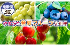 【定期便3回】やまがた 若夏のフルーツ定期便 FY25-048
