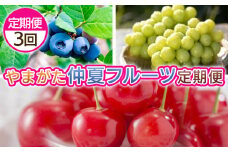 【定期便3回】やまがた　仲夏フルーツ定期便 FY25-049