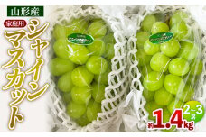 【家庭用】シャインマスカット 約1.4kg 2～3房 FY25-002