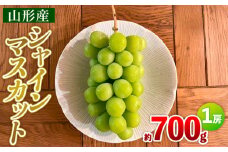 シャインマスカット 約700g 1房 FY25-003