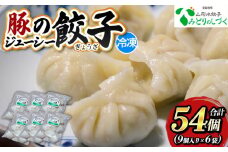 豚のジューシー餃子 9個入り×6袋(計54個) FY25-006