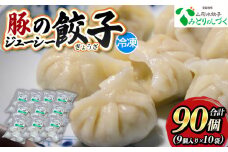豚のジューシー餃子 9個入り×10袋(計90個) FY25-007