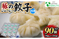 豚のジューシー餃子 9個入り×10袋(計90個) FY25-007