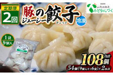 【定期便2回】豚のジューシー餃子 9個入り×6袋(54個)×2ヶ月(計108個) FY25-009