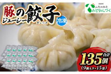 豚のジューシー餃子 9個入り×15袋(計135個) FY25-008