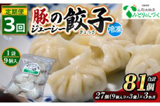 【定期便3回】豚のジューシー餃子 9個入り×3袋(27個)×3ヶ月(計81個) FY25-010