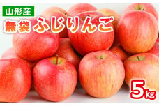 山形産 無袋 ふじりんご 秀5kg(13～20玉) FY25-012