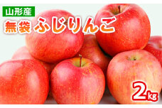 山形産 無袋 ふじりんご 秀2kg(5～8玉) FY25-013