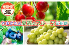 【定期便3回】やまがた　夏霞のフルーツ定期便 FY25-051