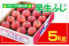 ☆フルーツ王国山形☆ りんご (早生ふじ) 秀品 5kg FY25-055