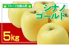 ☆フルーツ王国山形☆ りんご (シナノゴールド)秀品 5kg FY25-057