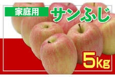 【家庭用】☆フルーツ王国山形☆ りんご (サンふじ) 5kg FY25-058