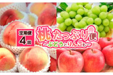 【定期便4回】桃たっぷり便～ぶどうとりんごも～ FY25-016