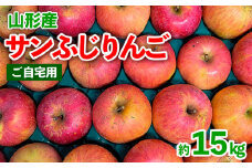 【ご自宅用】山形産 サンふじりんご 約15kg (39～75玉) FY25-018