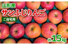 【ご自宅用】山形産 サンふじりんご 約15kg (39～75玉) FY25-018