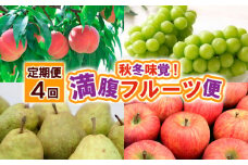 【定期便4回】秋冬味覚！満腹フルーツ便 FY25-020