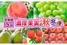 【定期便5回】濃厚果実の秋冬便 FY25-021