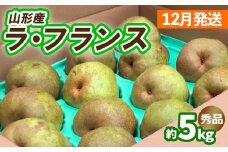 山形のラ・フランス約5kg（10～16玉 3L～6L)[12月発送] FY25-028