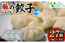 豚のジューシー餃子 9個入り×3袋(計27個) FY25-005