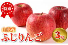 特秀品 山形県産 ふじりんご 3kg FY25-024