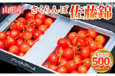 さくらんぼ 「佐藤錦」500g Lサイズ以上 山形産 FY25-027