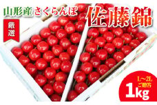 【厳選 ご贈答 バラ詰め】本場 山形産 さくらんぼ 佐藤錦 1kg(L～2Lサイズ) FY25-097